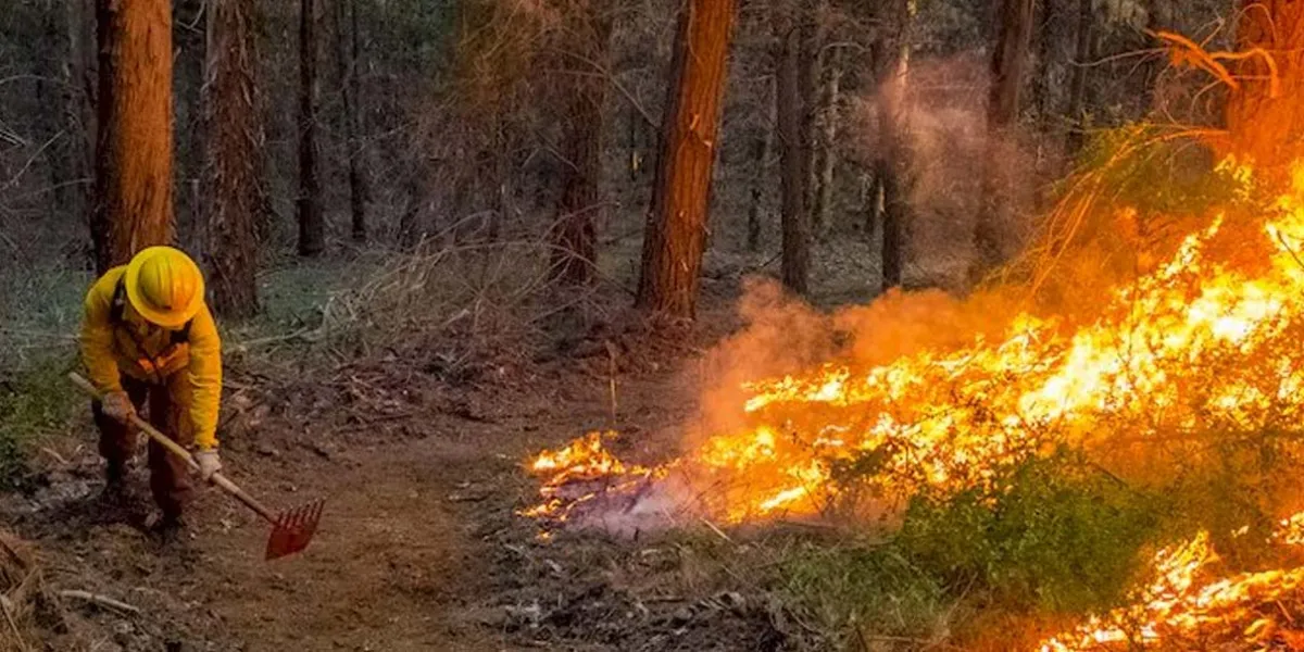 Primeros incendios forestales alertan a la región de Serdán