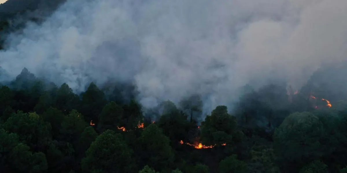 Puebla se prepara para enfrentar incendios forestales; en 2025 hubo 304
