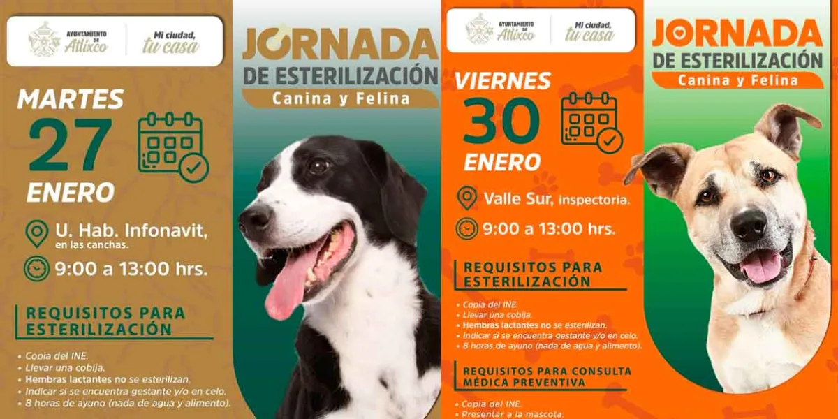 Servicios Veterinarios gratuitos en colonias de Atlixco