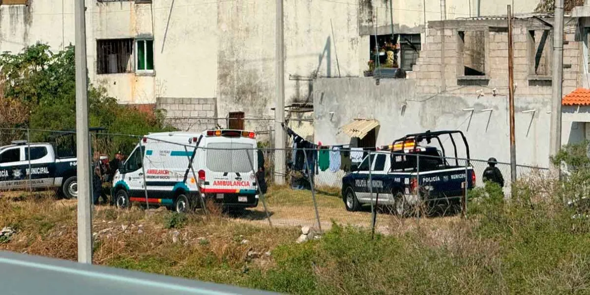 Sujeto agrede a policías de San Pedro Cholula