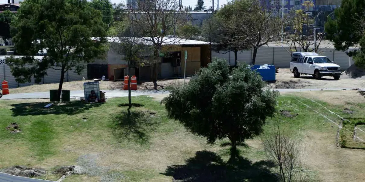 Desde redes sociales llaman a marcha para salvar árboles talados por el Cablebús