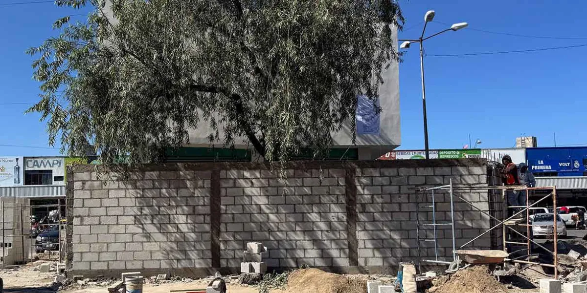 Un amparo frenó construcción de barda perimetral en la Central de Abasto