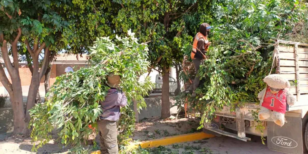Con participación ciudadana, Tonantzin Fernández impulsa faena en Momoxpa