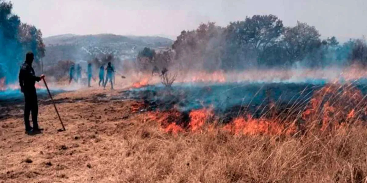 Controlan incendios forestales en Oriental y Amozoc  y destrullen hornos clandestinos