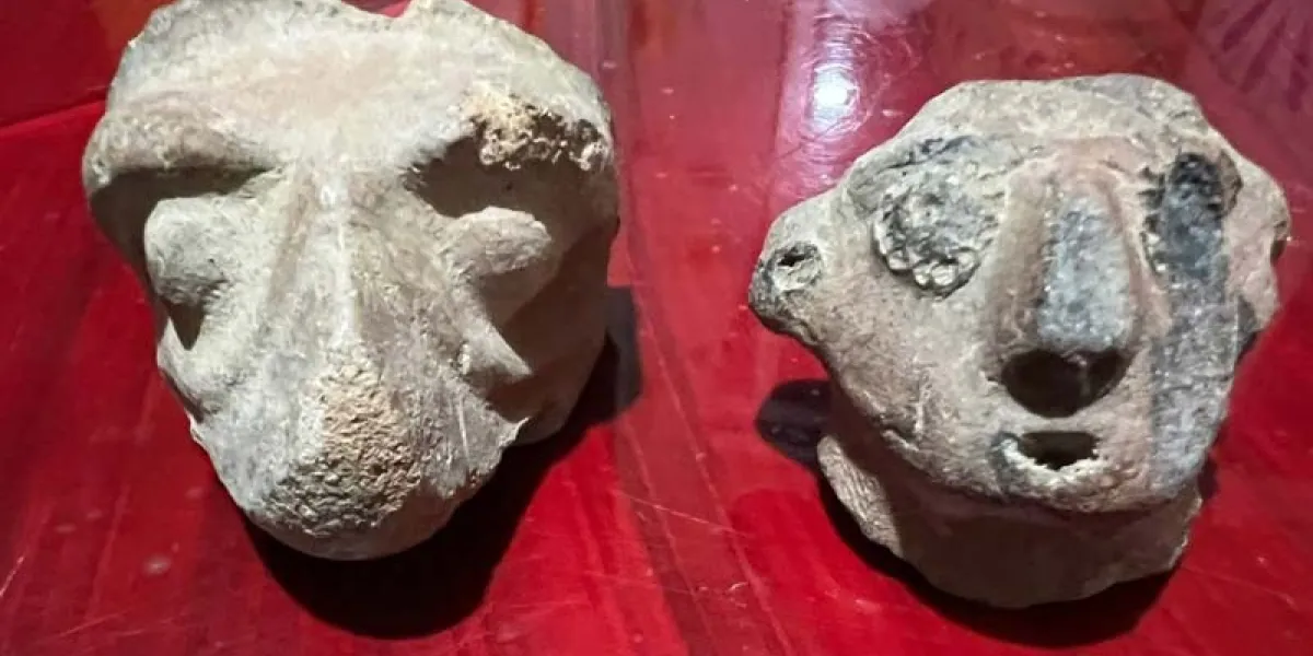 Hallan piezas arqueológicas en San Miguel Tianguizolco, comunidad de origen prehispánico