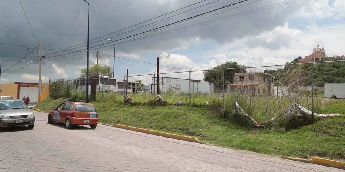 Mayor castigo para el despojo