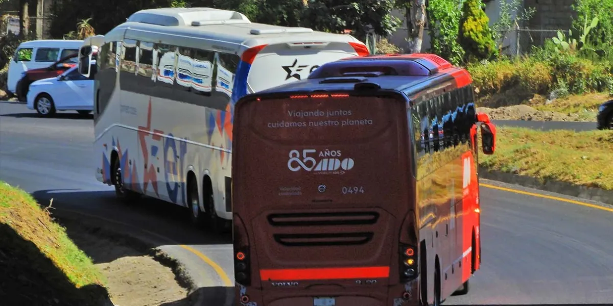 Estrella Roja, ADO y taxis darán servicio de transporte en la capital; HORARIOS, RUTAS Y TARIFAS