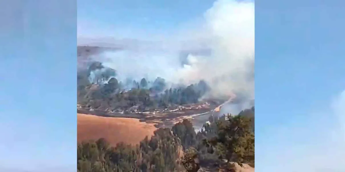 Avanza incendio forestal en Aljojuca; habitantes piden apoyo