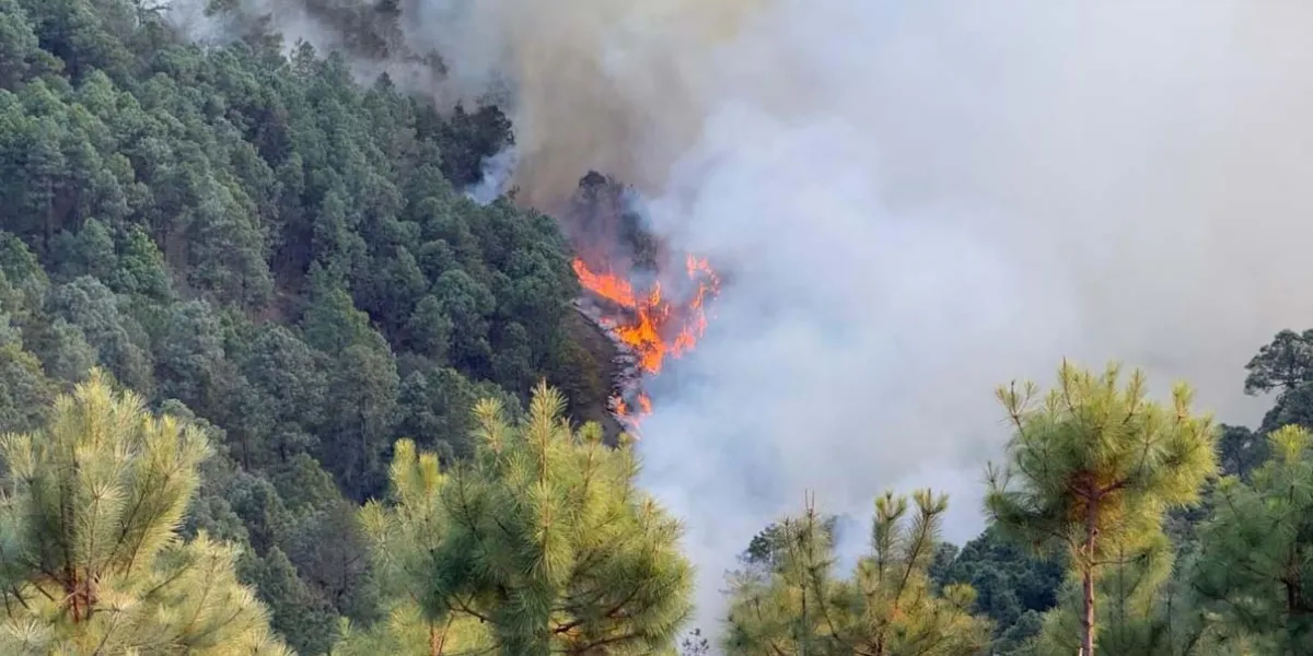 Fuego fuera de control en Vicente Guerrero, Puebla; desalojan hospital y avanzan llamas