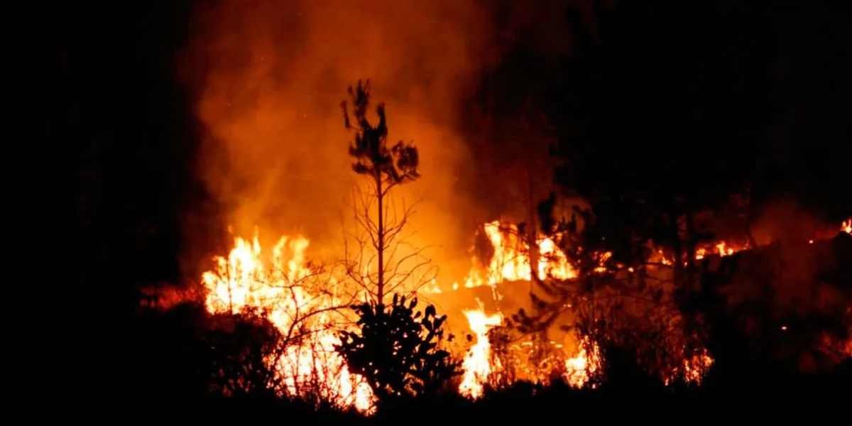 Sofocan incendio en el Cerro de los Zapotecas