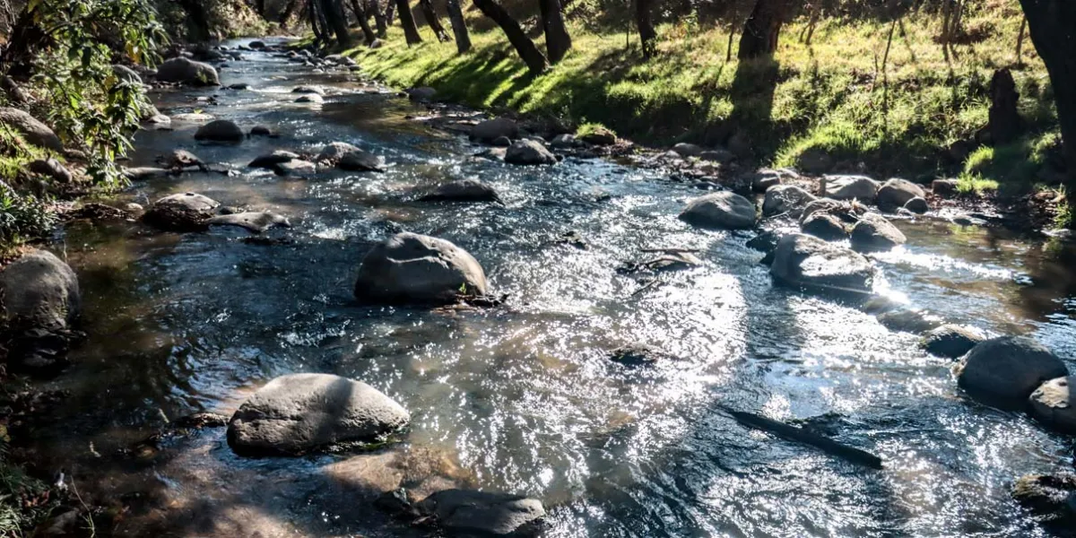 Pésimo diagnóstico del Río Atoyac, autoridades emitieron reporte para revivirlo