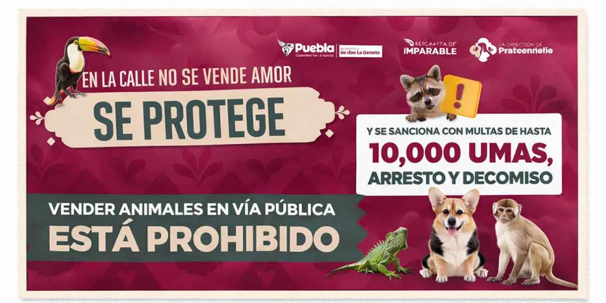 Gobierno de Puebla refuerza operativos contra la venta ilegal de animales en vía pública