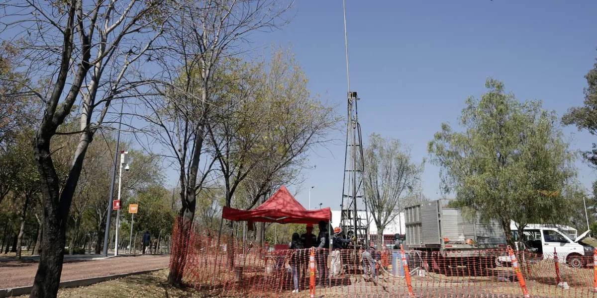 Proyecto del cablebús en Puebla afectará 980 árboles; 280 serán reubicados