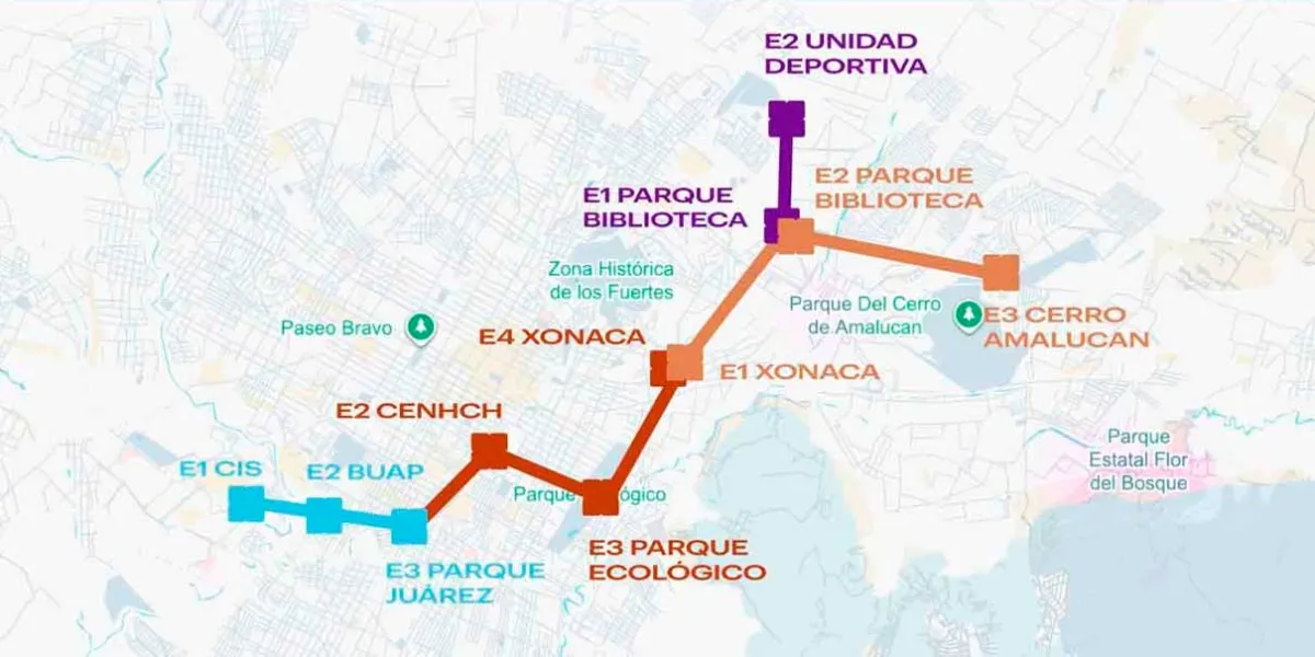 El Ayuntamiento de Puebla ayudará a reponer árboles talados por el Cablebús