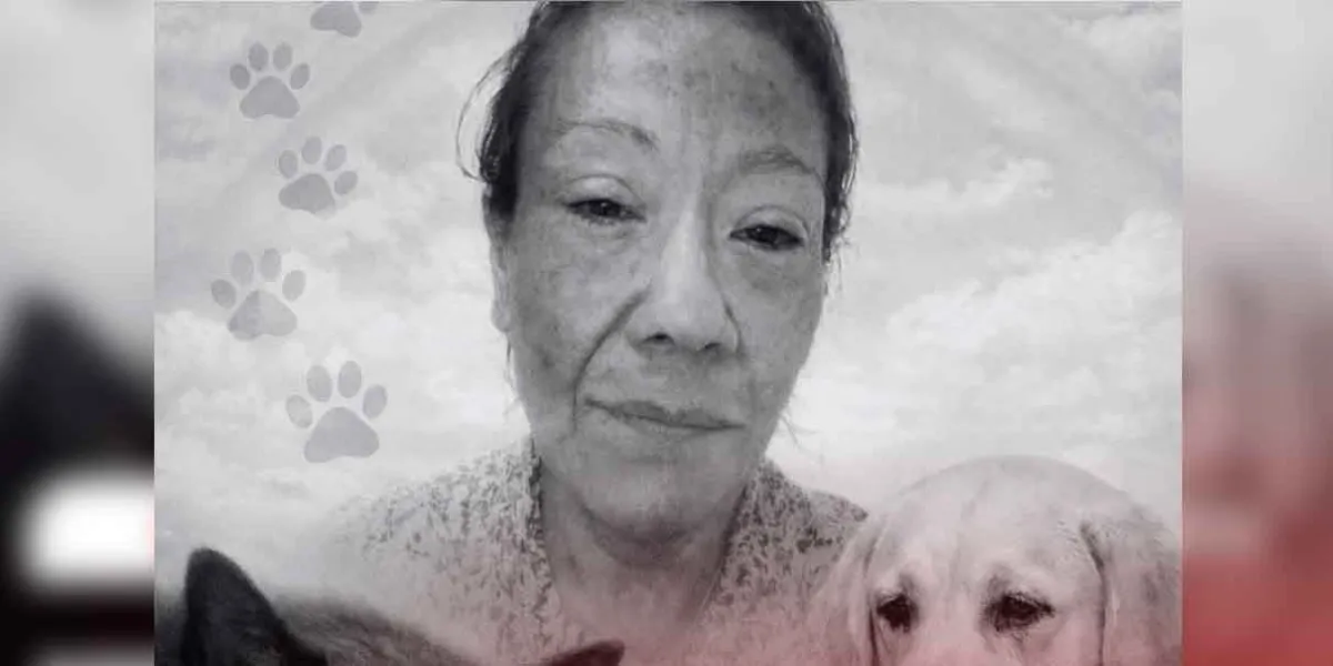 VIDEO. Denunció el asesinato de uno de sus perros y la rescatista aparece muerta días después. El caso de Diana Belén García