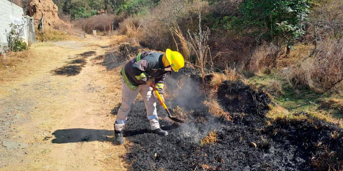 Ante incremento de incendios en 2026, Puebla intensifica acciones de combate