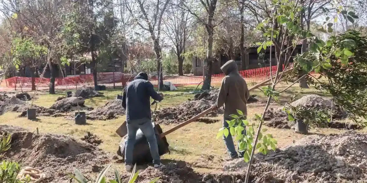PRI asegura que seguirá defendiendo árboles afectados por el Cablebús