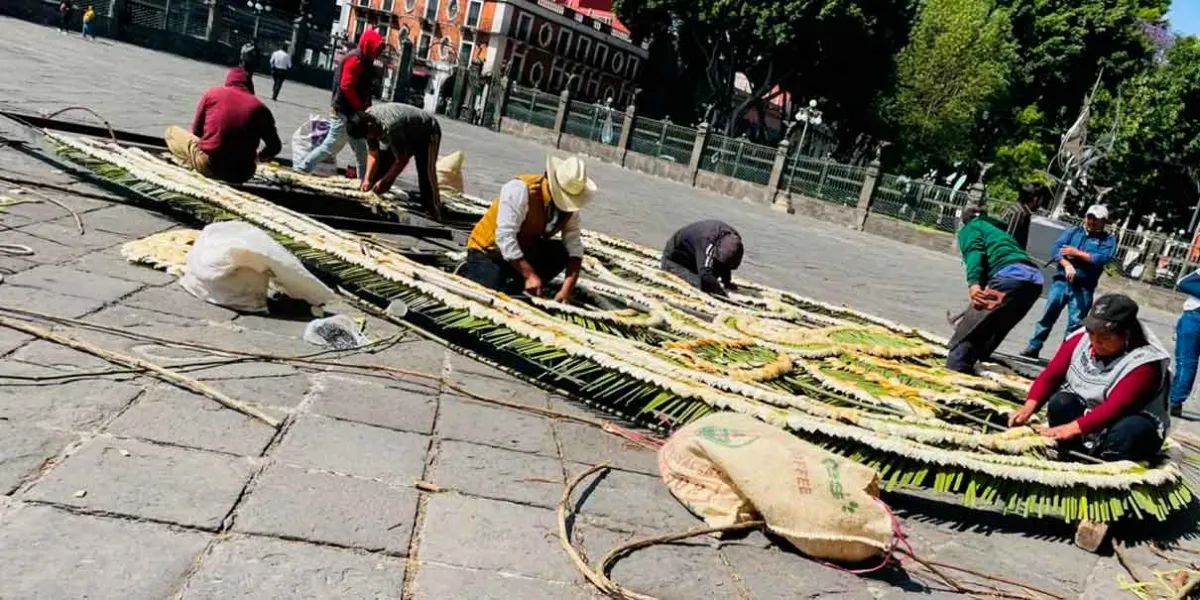 La Puerta del Perdón de Catedral lucirá monumental adorno tradicional 