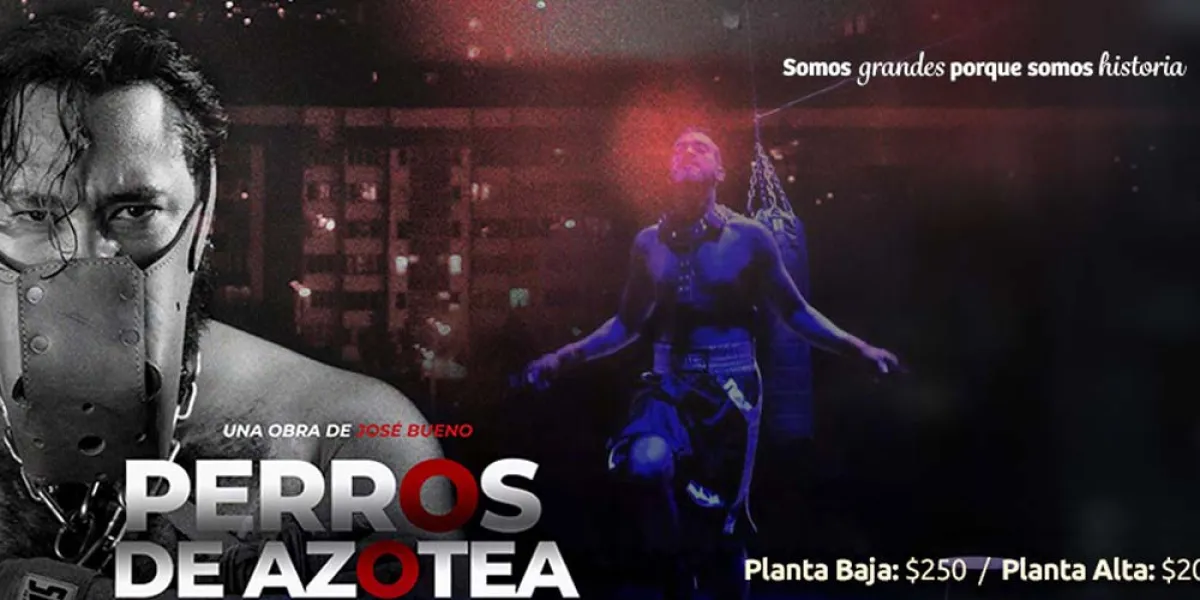 Drama y emoción en el CCU: Estreno de Perros de azotea y Las Intermitencias del Adiós