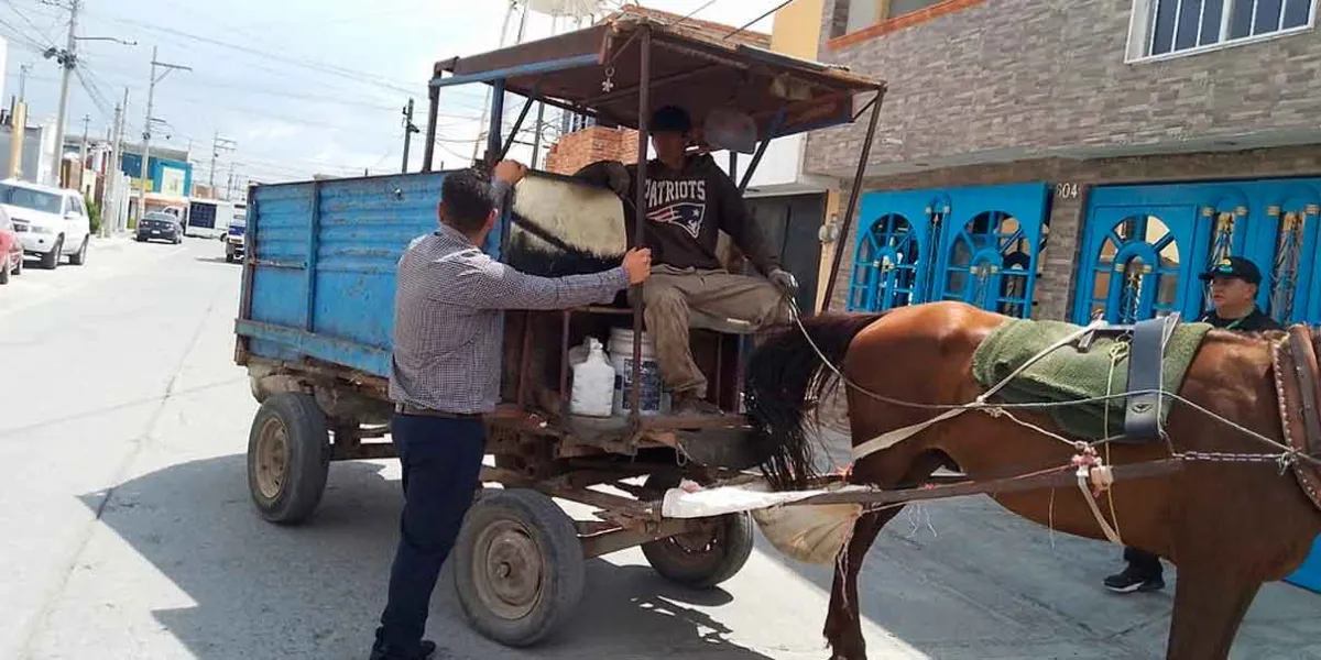Adiós a los caballos y carretas en Texmelucan; ahora recolectarán basura en motos