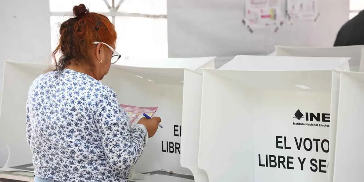 Los partidos y sus “alianzas”