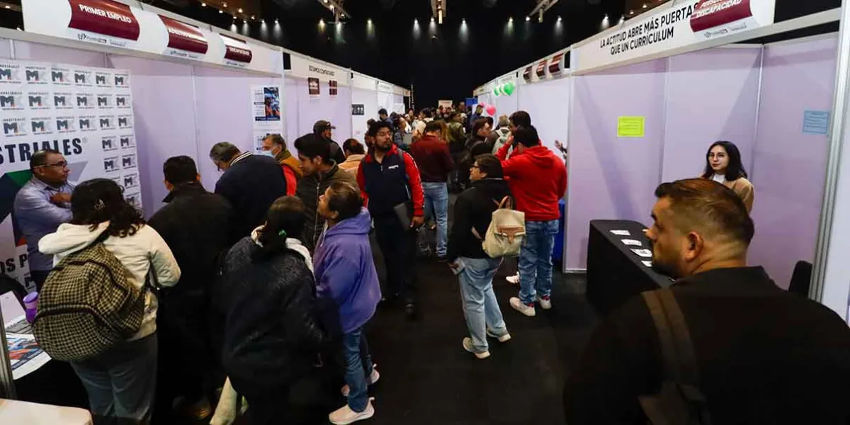 Crece el empleo en México: servicios impulsan recuperación laboral