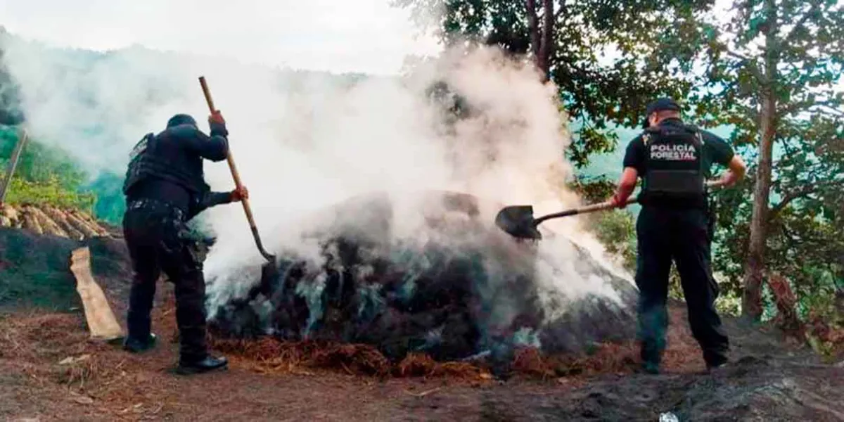 Policía Forestal destruye siete hornos clandestinos en Zautla, Puebla