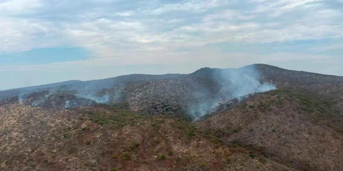 Incendio forestal en cerro Tecaballo moviliza operativo aéreo y terrestre en Puebla