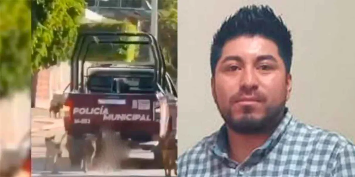 Indignación en Puebla: patrulla arrastra a perro y diputado exige salida de alcalde