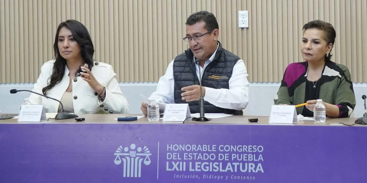 Más diputados no descartan participar en próximo proceso electoral