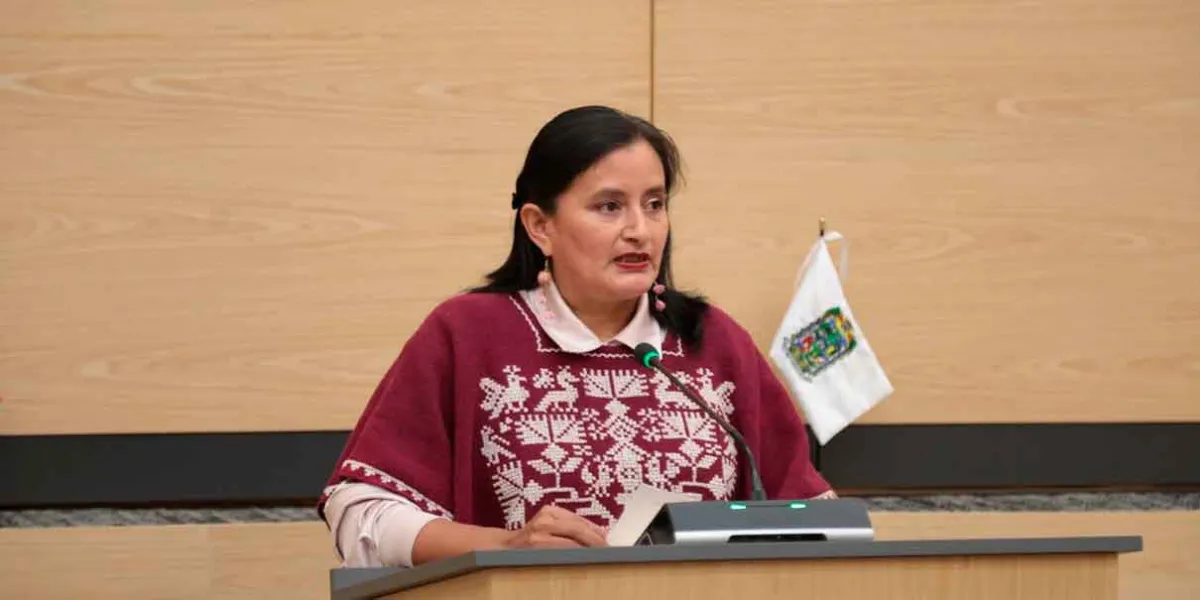 El PT indeciso en su voto por el tema de las infancias y adolescencias trans 