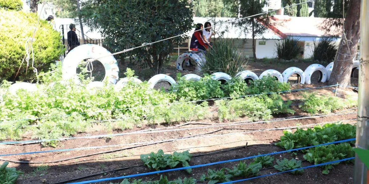 Puebla lanza jornada ambiental en escuelas con huertos escolares