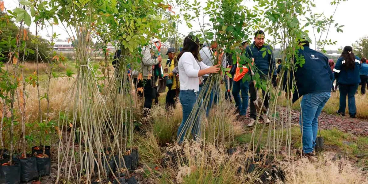 Agua de Puebla impulsa “Arbolitros 2026” con jornadas de reforestación y apoyo a causas sociales
