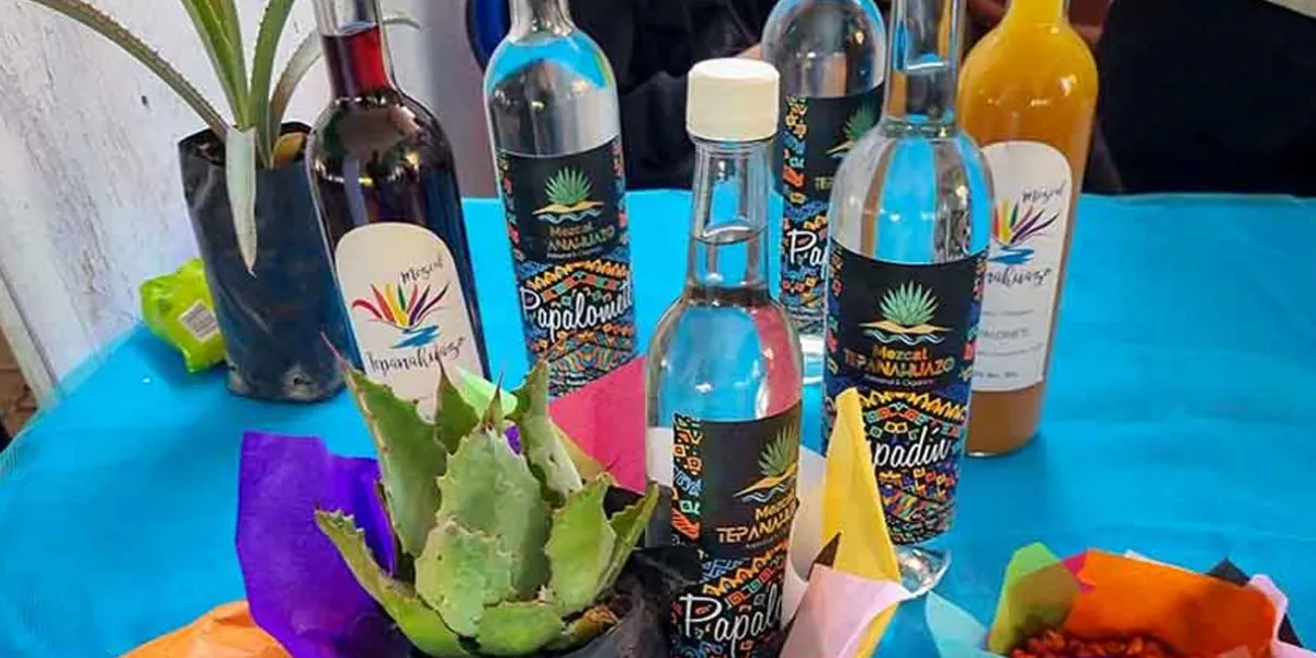 Atlixco arranca la Feria del Mezcal y el Pulque con más de 60 expositores