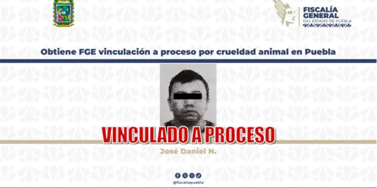 Vinculan a proceso a hombre acusado de atropellar intencionalmente a perro en Puebla