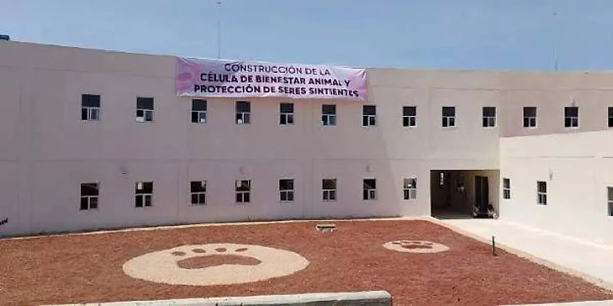 Célula de Bienestar Animal atenderá a más de mil 500 animales en Puebla