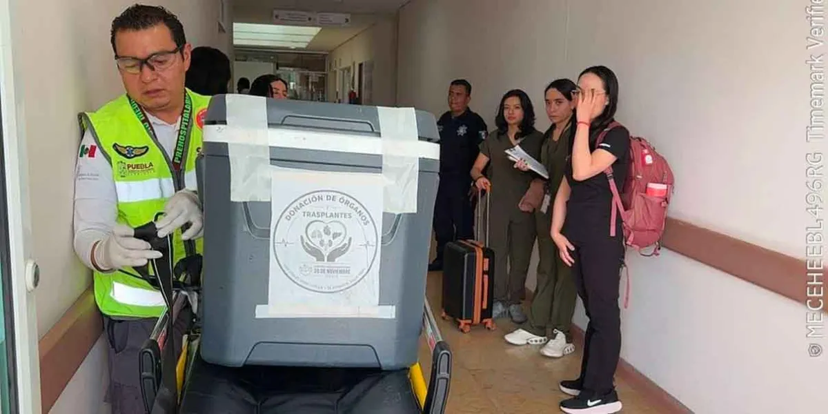 Trasladan con éxito un hígado de Puebla a la Ciudad de México para un trasplante