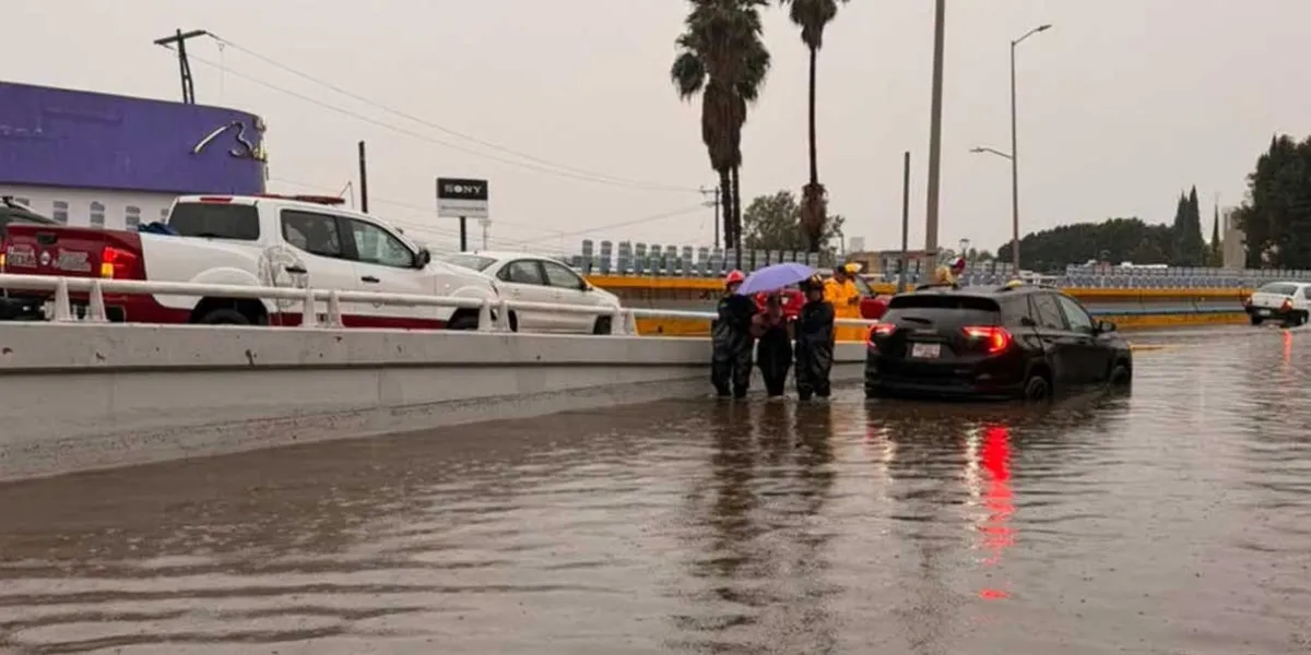 Lluvia derribó árbol en El Triángulo y dañó camioneta en Ampliación Reforma