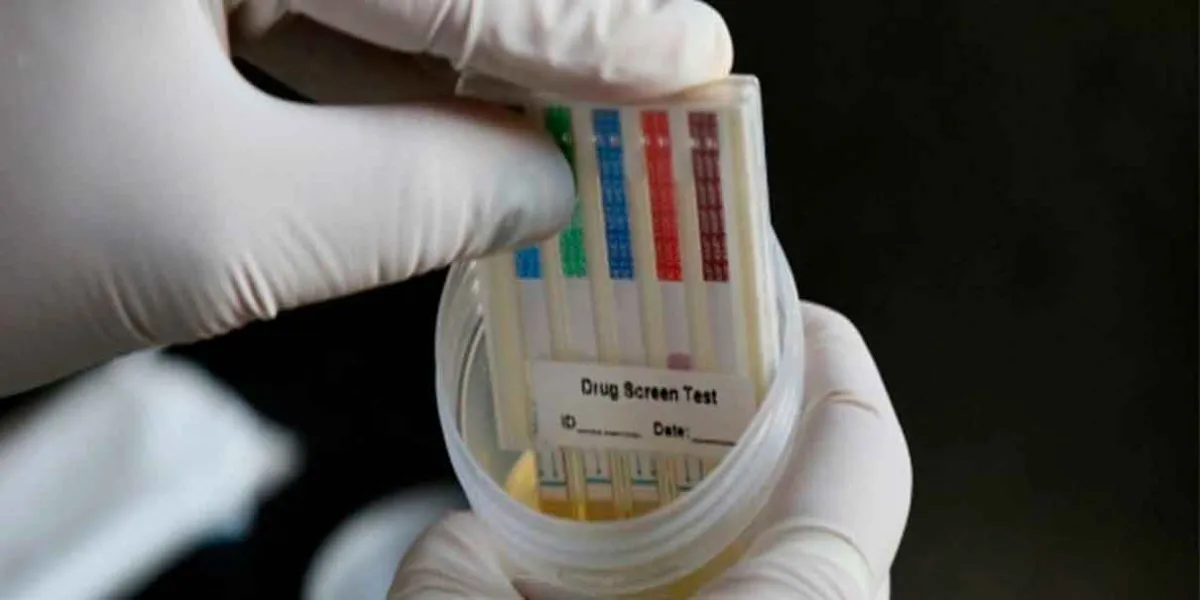 PAN avala antidoping para candidatos de 2027