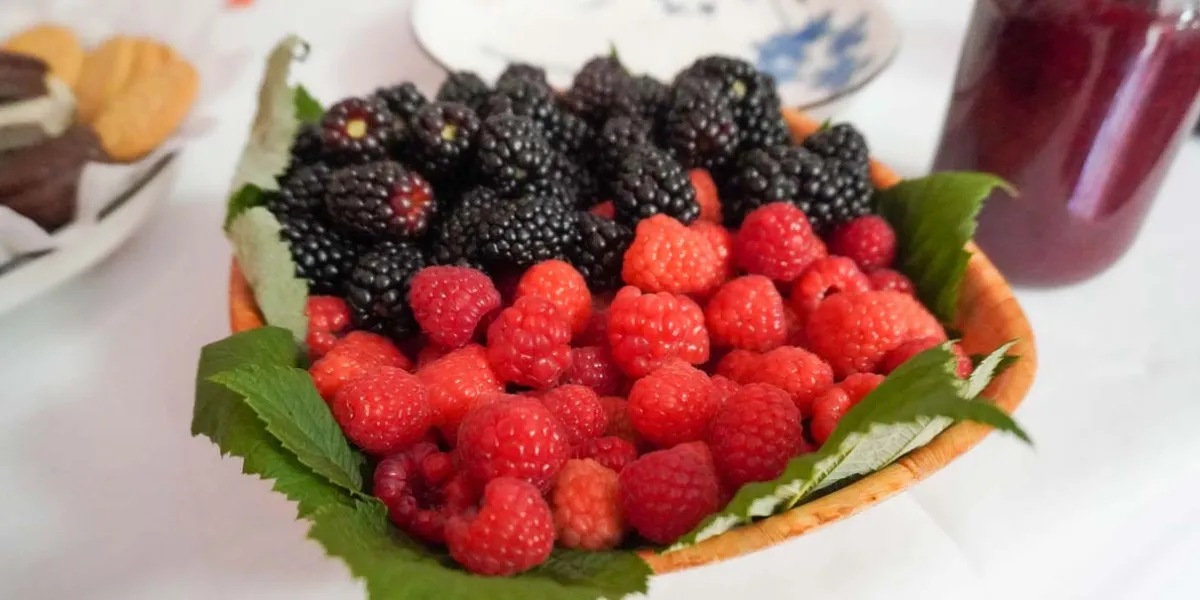 San Diego Buenavista invitó a su séptima Feria de las Berries