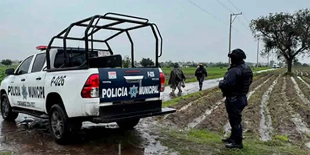 Hallan cadáver de mujer en terrenos de cultivo de Huejotzingo