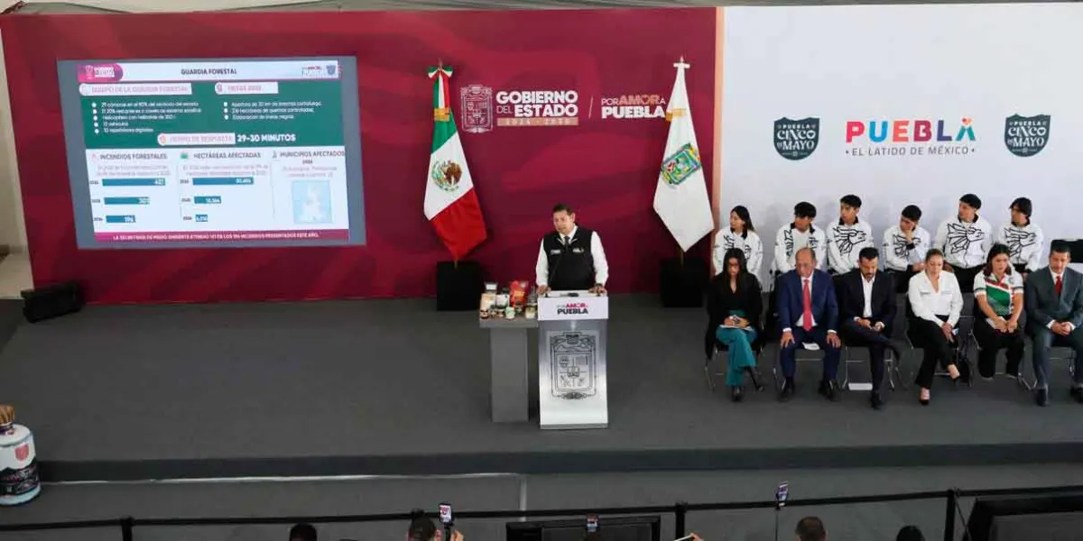 Gobierno Estatal refuerza protección de bosques y garantiza vivienda a guardias forestales