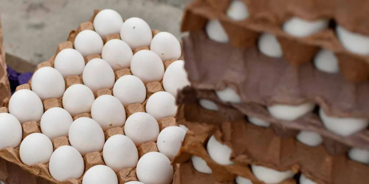 Cuidado con los huevos podridos que vienen de Estados Unidos