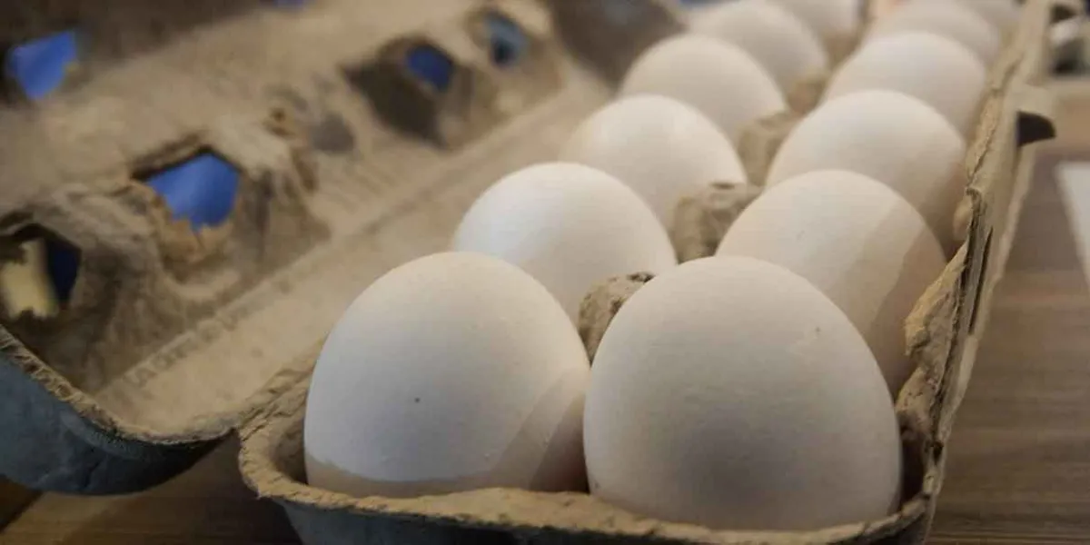 Huevo de EU amenaza ventas de productores de Tehuacán