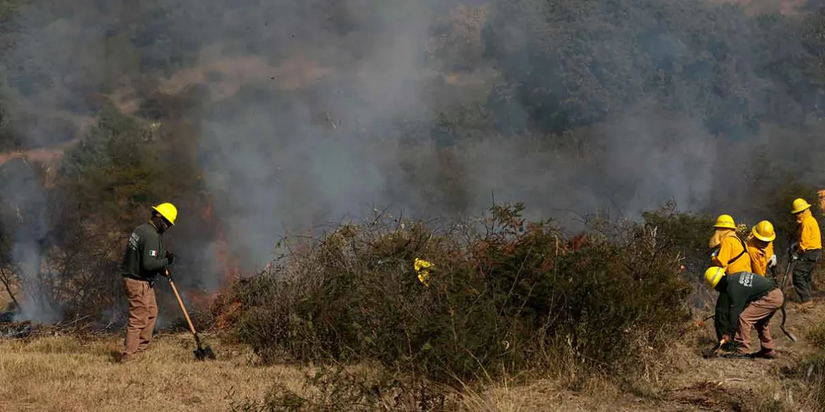 Incendios forestales bajan en Puebla: suman 196 en 2026