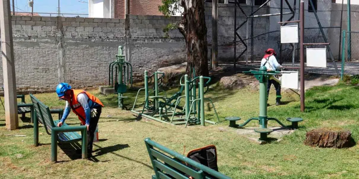 Mantiene Pepe Chedraui poda y chapeo en parques y áreas verdes