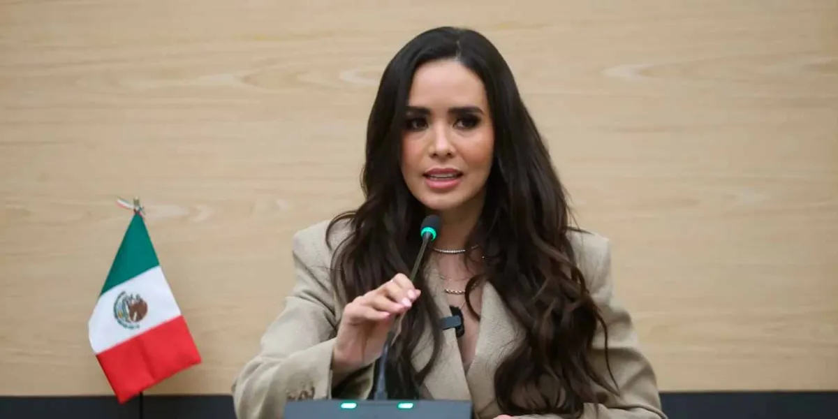 Mi expulsión de Morena sería exagerado, señaló Graciela Palomares 