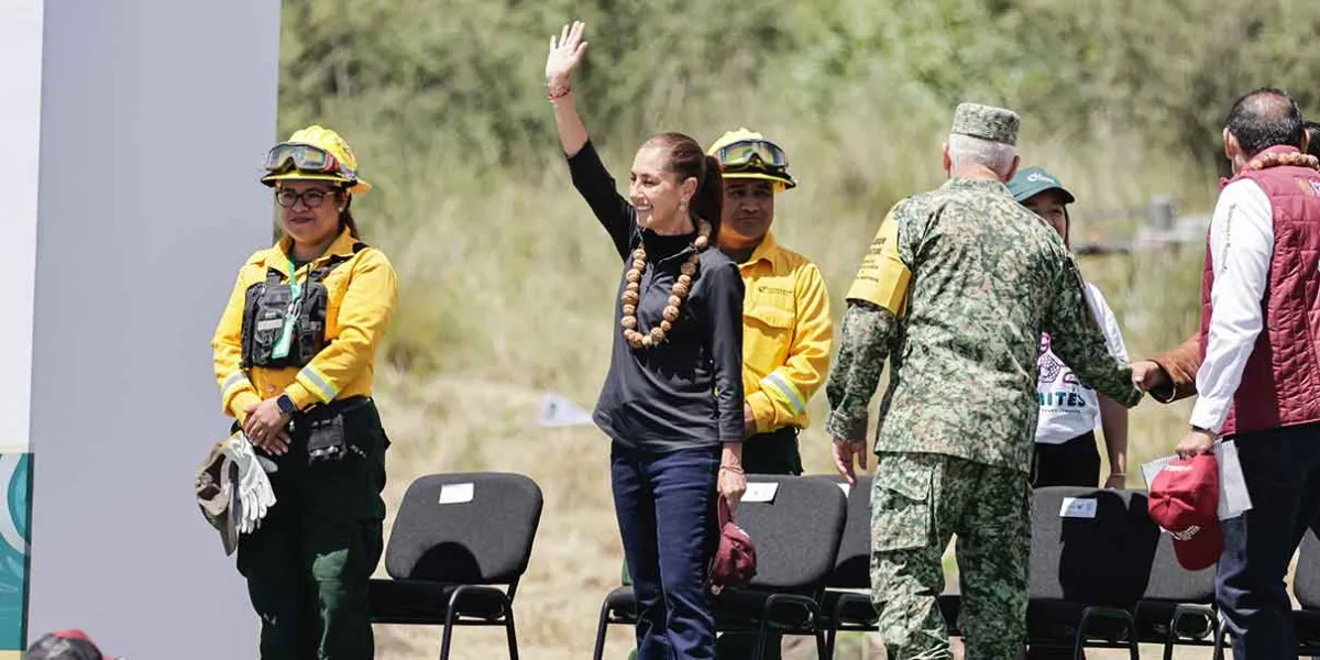 Sheinbaum reforesta Puebla con meta de 6.6 millones de árboles
