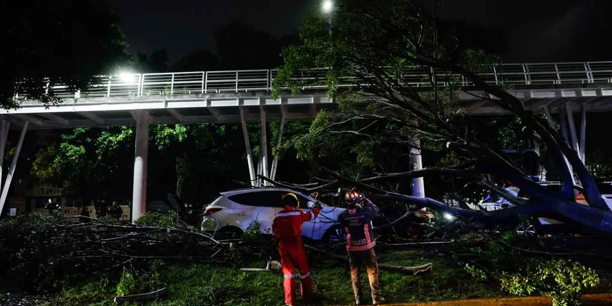 Tormenta deja árbol sobre autos e inundaciones en Puebla capital