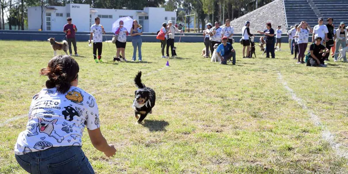 CAETO BUAP cumple cuatro años como apoyo a la salud emocional estudiantil